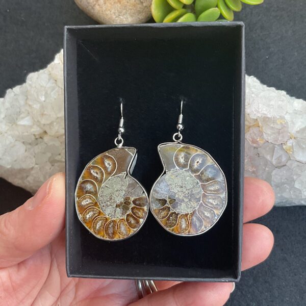 Ammonite Fossil Earings - Image 2