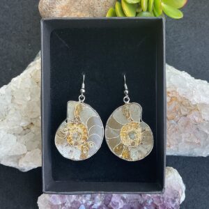 Ammonite Fossil Earings