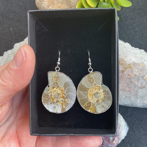 Ammonite Fossil Earings - Image 2
