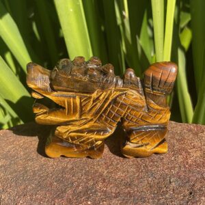 Tigers Eye Dragon