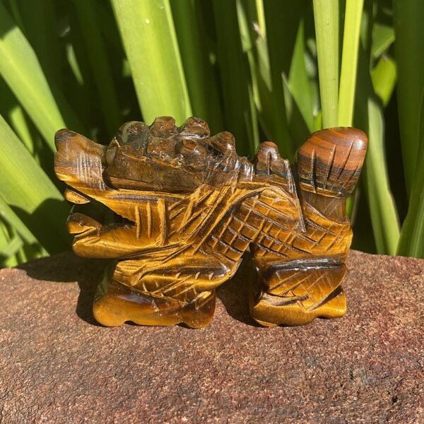 Tigers Eye Dragon