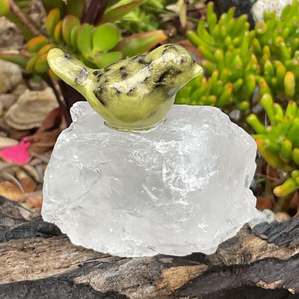 Bird on Clear Quartz