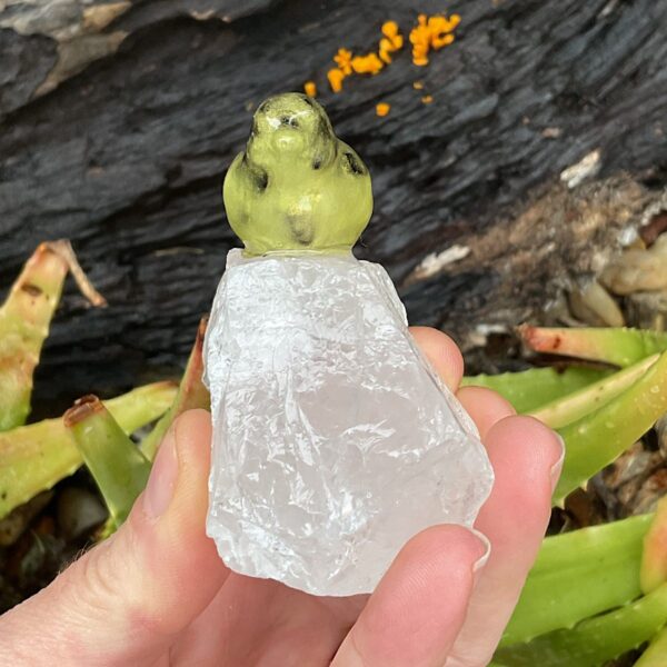 Bird on Clear Quartz - Image 4