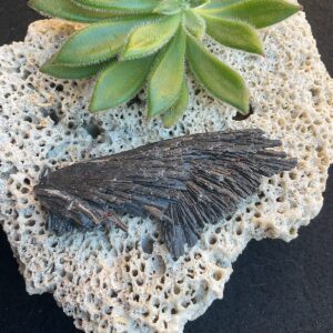 Black Kyanite Fan