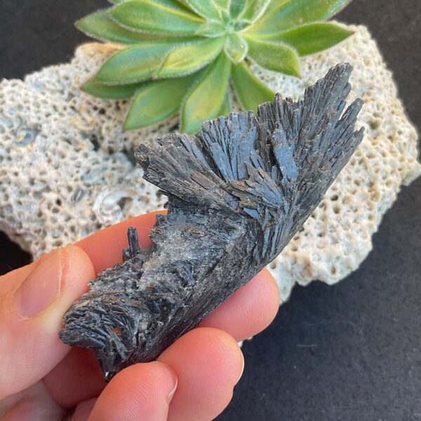 Black Kyanite Fan - Image 2