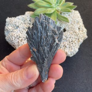 Black Kyanite Fan