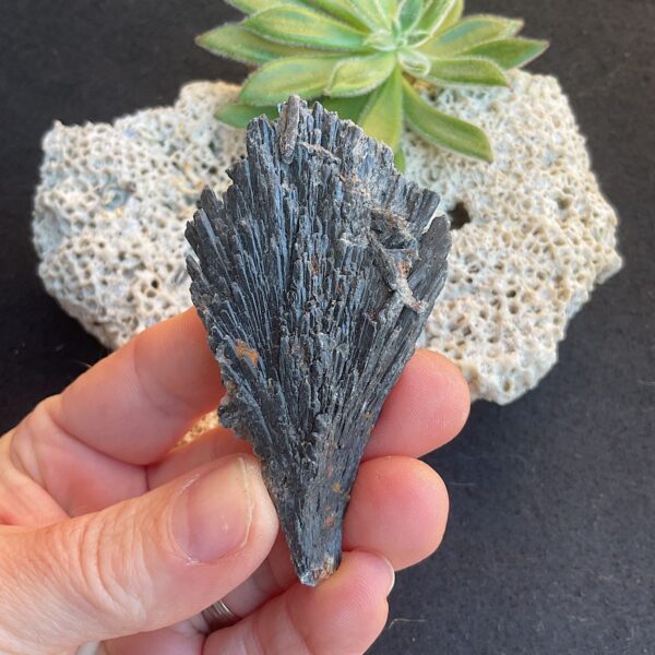 Black Kyanite Fan
