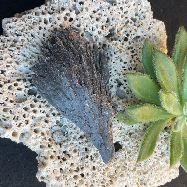 Black Kyanite Fan - Image 2