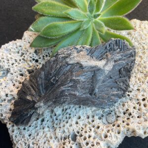 Black Kyanite Fan