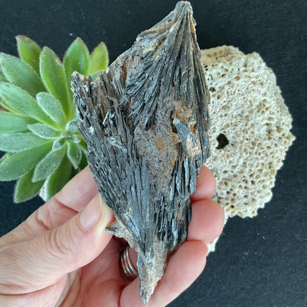 Large Black Kyanite Fan - Image 2