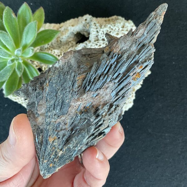 Large Black Kyanite Fan - Image 3