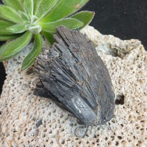 Black Kyanite Fan