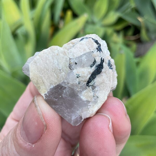 Smoky Quartz on Orthoclase - Image 4