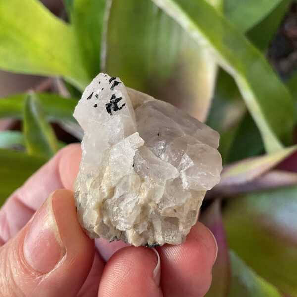 Smoky Quartz on Orthoclase - Image 2