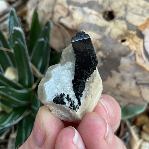 Aegirine on Orthoclase