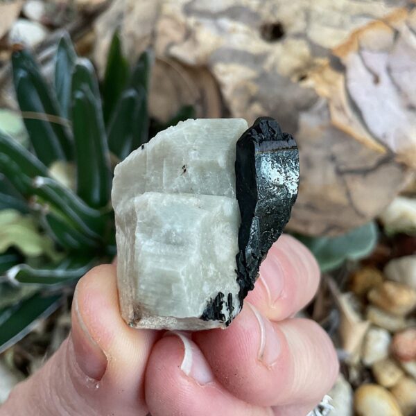Aegirine on Orthoclase - Image 3