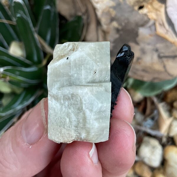 Aegirine on Orthoclase - Image 2