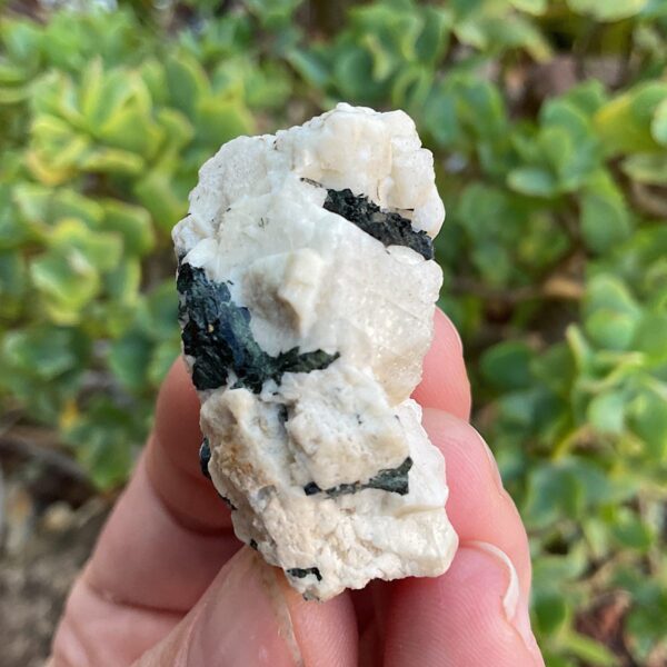 Aegirine on Orthoclase - Image 4