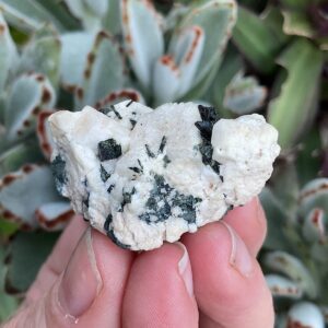 Aegirine on Orthoclase