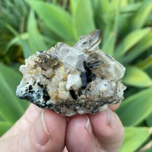Aegirine on Orthoclase