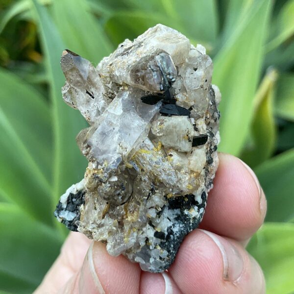 Aegirine on Orthoclase - Image 2