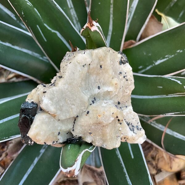 Aegirine on Orthoclase - Image 2