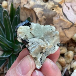 Aegirine on Orthoclase