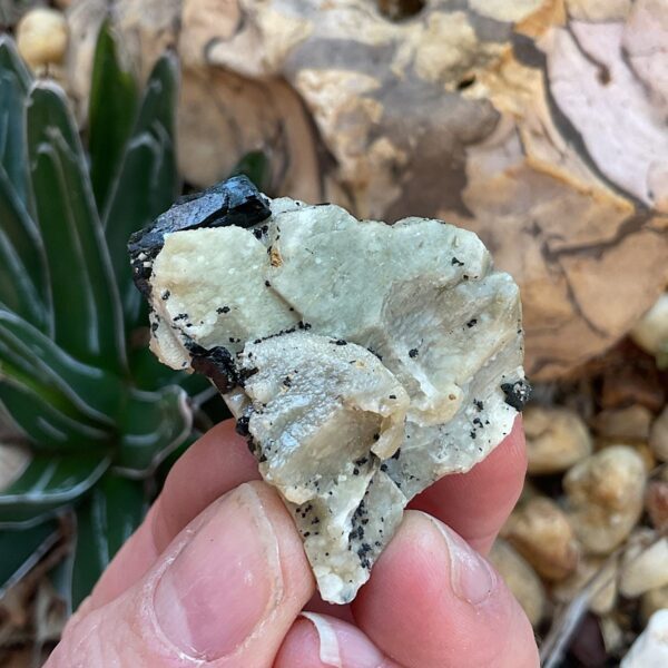 Aegirine on Orthoclase