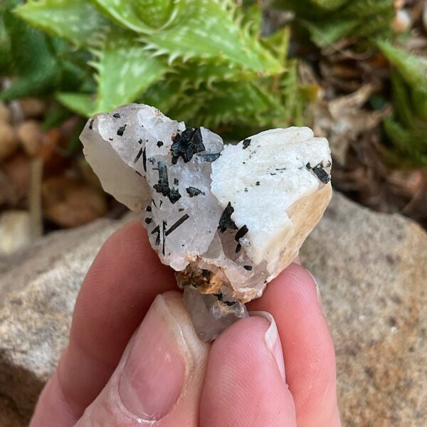 Smoky Quartz and Aegirine Cluster