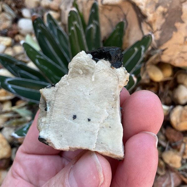 Aegirine on Orthoclase - Image 4
