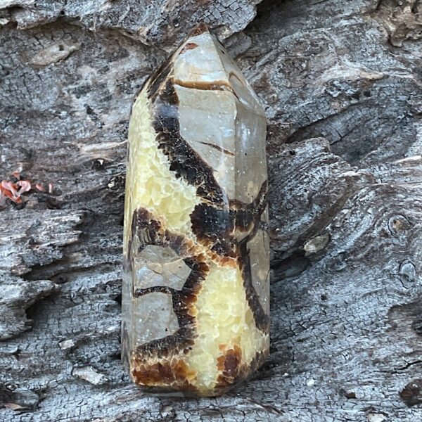 Septarian Tower