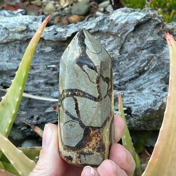 Septarian Tower - Image 4
