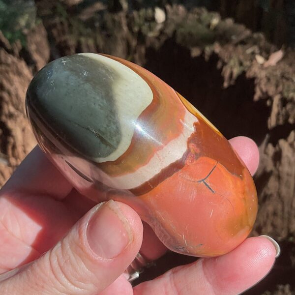 Polychrome Jasper Free-form - Image 3