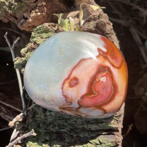 Polychrome Jasper Free-form