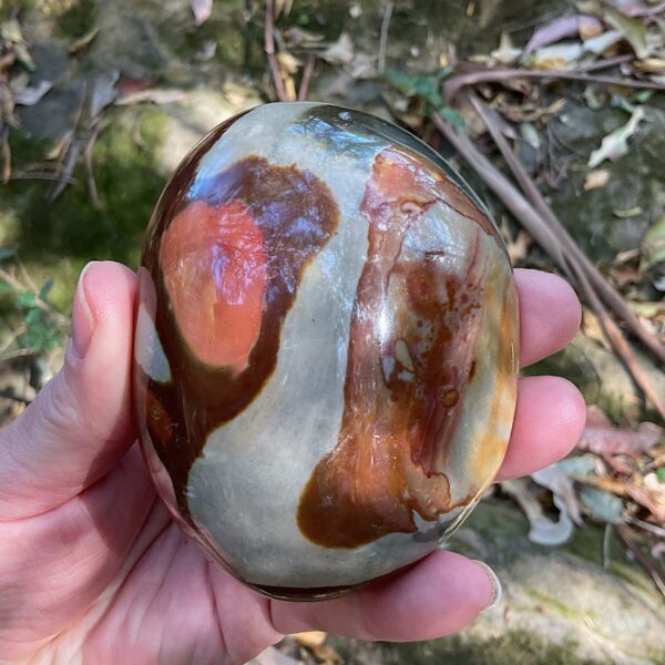 Polychrome Jasper Free-form