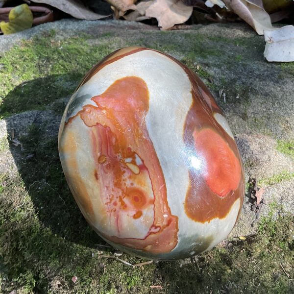 Polychrome Jasper Free-form - Image 4