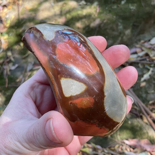Polychrome Jasper Free-form - Image 3