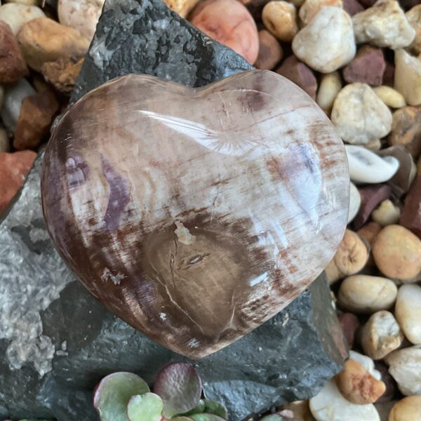 Petrified Wood Heart - Image 2