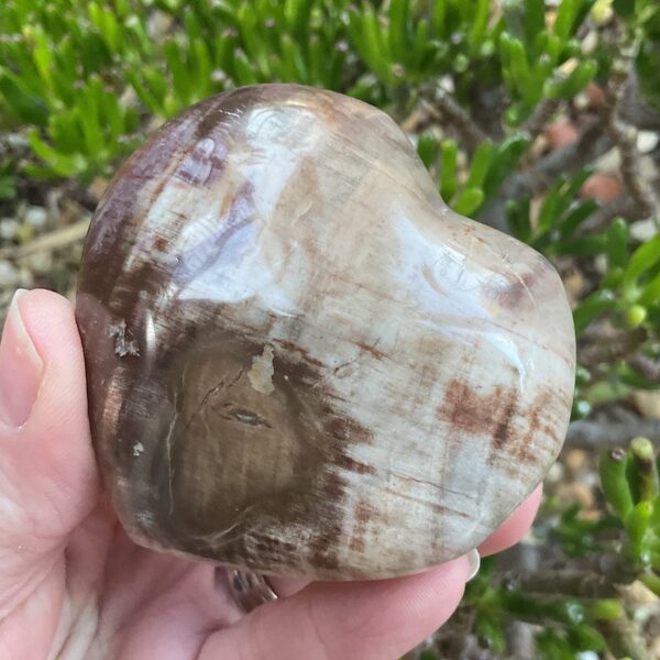 Petrified Wood Heart - Image 3