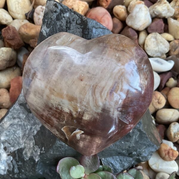 Petrified Wood Heart