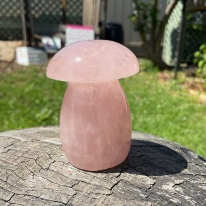 Star Rose Quartz Mushroom