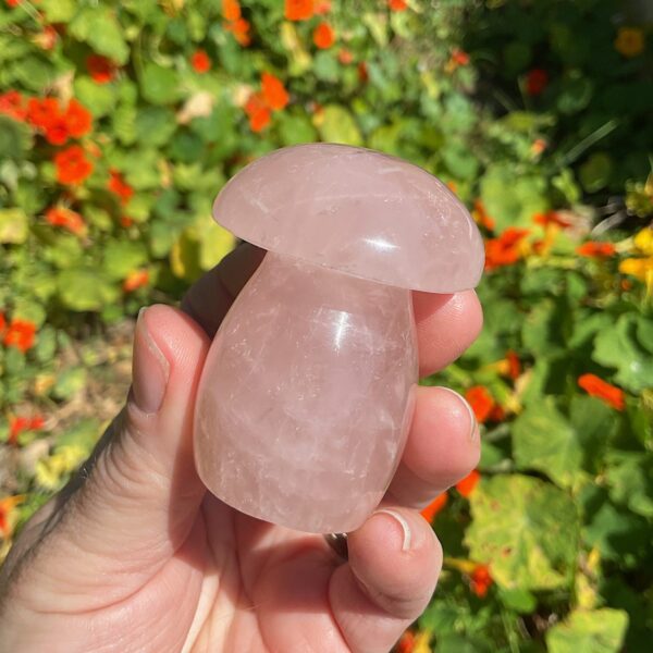 Star Rose Quartz Mushroom - Image 2