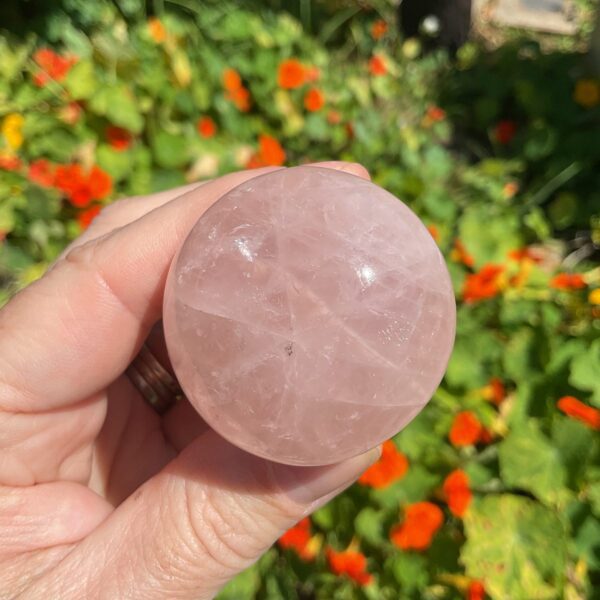 Star Rose Quartz Mushroom - Image 3