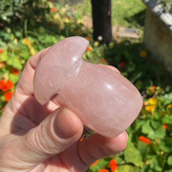 Star Rose Quartz Mushroom - Image 4
