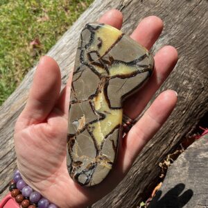 Septarian Slab