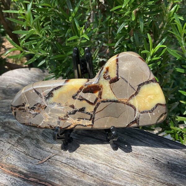 Septarian Slab - Image 2