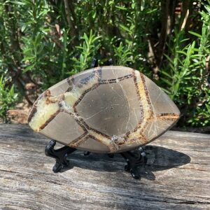 Septarian Slab