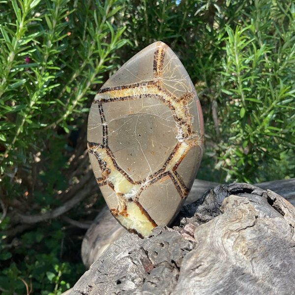 Septarian Slab - Image 2