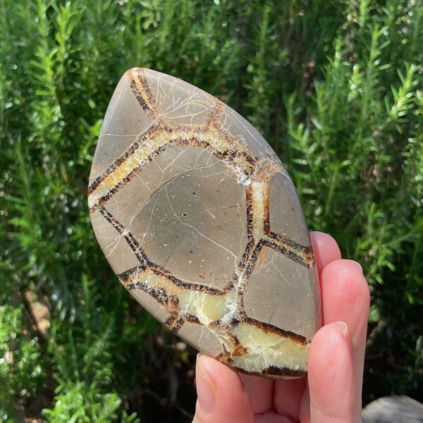 Septarian Slab - Image 3