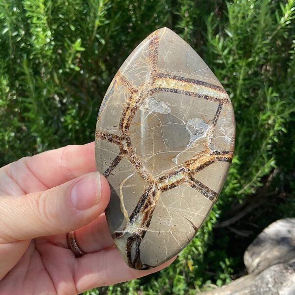 Septarian Slab - Image 4